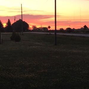 Meet your Posher, Vikki